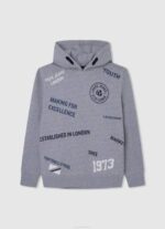 Pepe Jeans puuvillainen brodeerattu logopaita poika harmaa marli TB001588 - Image 3