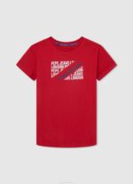 Pepe Jeans pystylogoinen puuvillainen t-paita poika harmaa marli TB001650 - Image 5