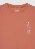 Pepe Jeans skeitti puuvillapusero poika kurpitsa appelsiini TB001584 - Image 3