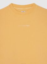Pepe Jeans vaatteiden värjätty puuvillapusero poika paistaa TB001601 - Image 3